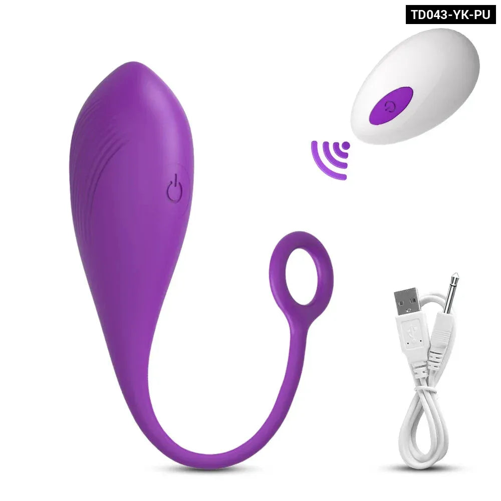 Remote Control Wearable Panties Vibrator Vibrating Egg for Couples